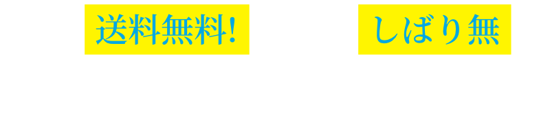 毎回送料無料!、回数しばり無しの定期コースがおすすめ!