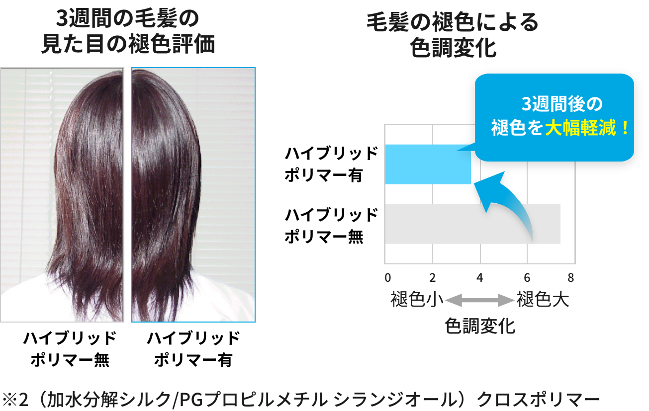 3週間の毛髪の見た目の褪色評価