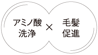 アミノ酸洗浄×毛髪促進