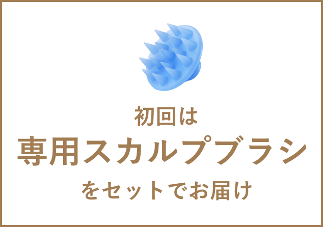 初回はスカルプブラシをセットで!!